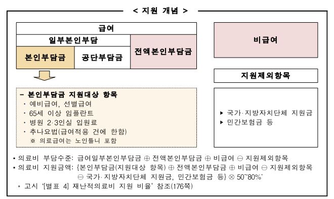 재난적의료비지원사업-지원개념