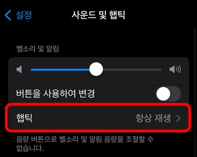 아이폰 사운드 및 햅틱 설정에 햅틱 설정 모습