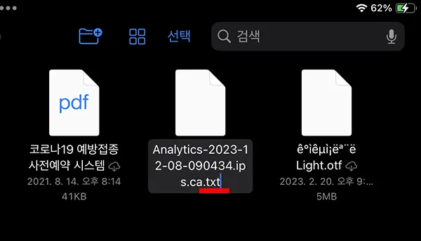 아이패드로 이름 변경하면서 확장자 명을 txt로 변경하는 모습