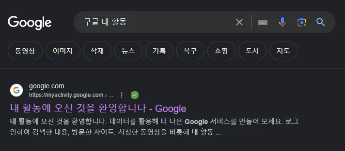 구글에서 구글 내 활동을 검색한 화면
